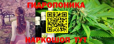 дурь Рыбинск