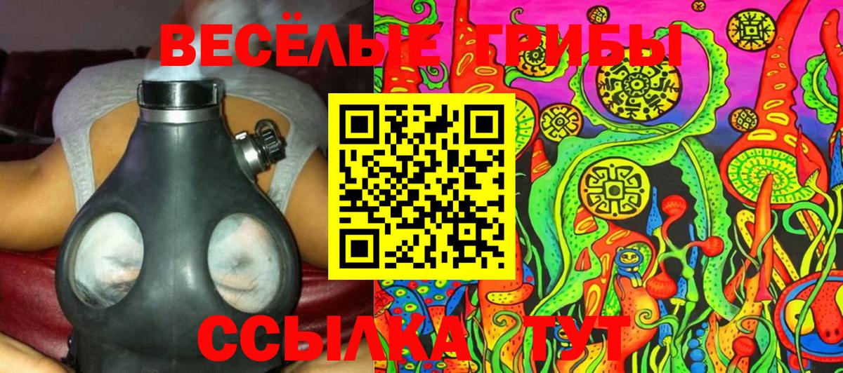 Псилоцибиновые грибы Cubensis  Вход с VPN  Псилоцибиновые грибы Cubensis  Самара 
