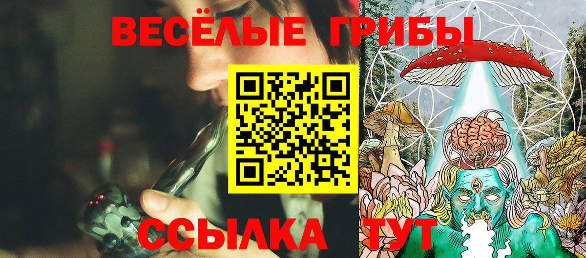 Галлюциногенные грибы MAGIC MUSHROOMS Самара